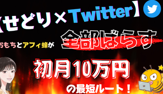 【せどり×Twitter】おもちとアフィ蜂が全部バラす！初月10万円の最短ルート