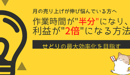 【新しい電脳・店舗せどり】少ない時間で利益を2倍化させる！！空いた時間でさらに収益を増やせる！！