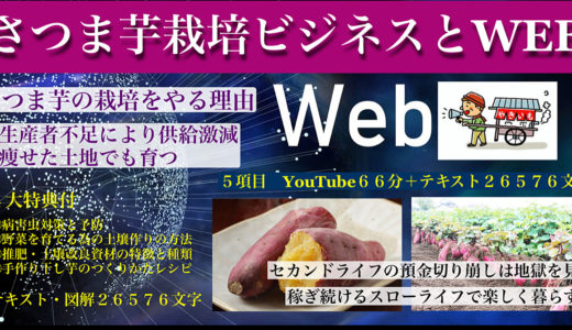 預金だけの不安なリタイヤ暮らしの「マイナスの人生設計」から「稼ぎ続けるプラスの人生設計」で活力ある生き方へ！「さつま芋栽培方法（YouTube６６分）〜４大特典付（テキスト２６５７６文字」