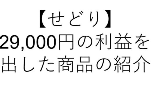 【せどり】29,000円の利益を出した商品の紹介　副業の開始におすすめ