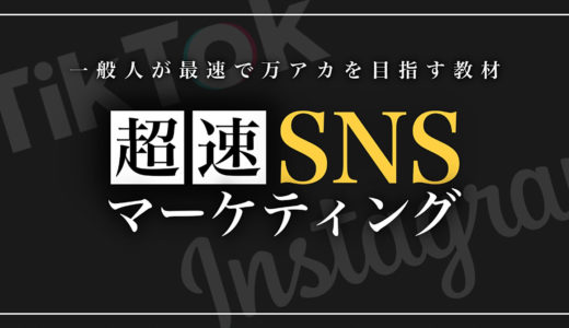 【Instagram × TikTok】１冊で２つのSNSを攻略して最速でインフルエンサーになるためのテキスト（7.7万字）