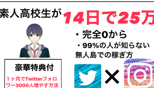 【完全０から二週間で２５万稼いだ方法】高校生でも稼げた失敗しない戦略「豪華特典」❕インフルエンサーから教えてもらった一か月で3000フォロワー獲得する方法