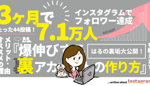 【3ヶ月で7.1万人フォロワー達成】本当は教えたくない『インスタグラムで爆伸びする裏アカウント』の作り方を教えます！