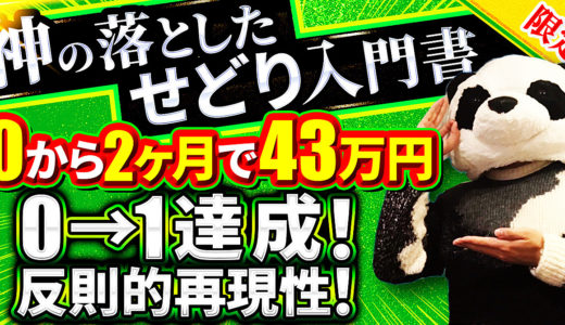 【神の落としたせどり入門書】2ヶ月で43万円！再現性・即金性最強のせどり攻略ノウハウ