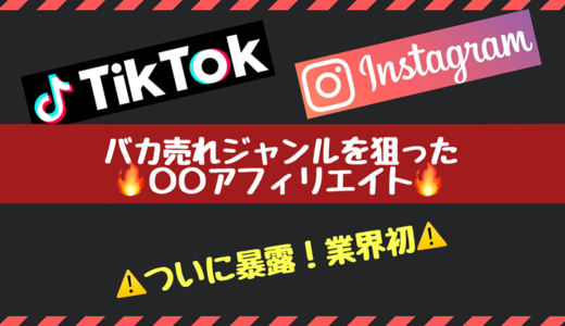 【バカ売れビジネス】TikTokとインスタグラムでZ世代を狙い撃ち！〇〇アフィリエイトで稼ぐ仕組みの作り方！Youtube,ブログ,Twitterはオワコンです。