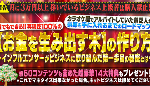 【インフルエンサーのビジネス第一歩とは？】無名な弱者が豪邸を手にするまでのロードマップメソッド～いかに不労所得を賢く生み出しマネタイズ戦略を仕掛けるか～