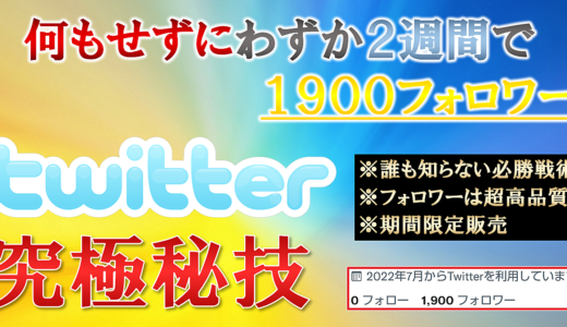 Twitter究極秘技【※期間限定販売】