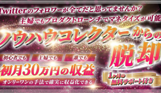 【ノウハウコレクターからの脱却】主婦でも初月30万円収益化できたマネタイズ手法を解禁！