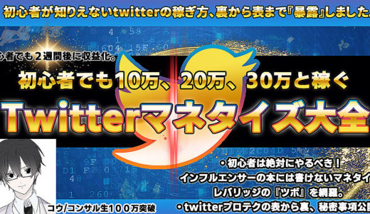 【4980円→100円！】初心者でも10万20万30万と稼げる、Twitter伸ばすための本質から裏まで暴露！twitterマネタイズ大全