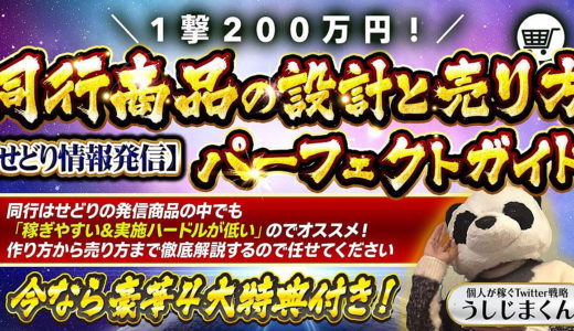 1撃200万円！せどり情報発信【同行商品設計と売り方パーフェクトガイド】