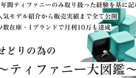 少数在庫でも月利10万OVER せどりの為の〜ティファニー大図鑑〜