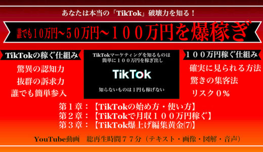 【TikTok爆伸び中！】１００万円を稼ぐのは今なら…比較的簡単。動画作成・投稿・拡散も簡単。TikTokは無名でも閲覧数が爆上がりするシステム。　