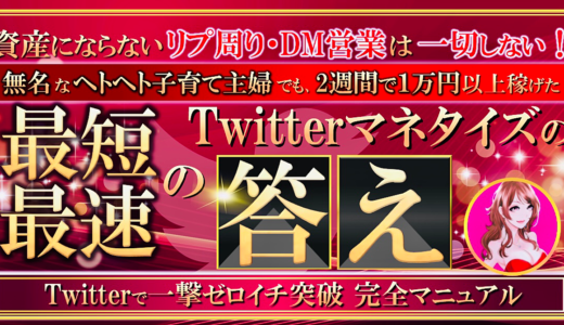 【Twitterで稼ぐ答え】無名な主婦がツイッターを使って0→1突破した方法を全公開します。子育て中のヘトヘト主婦でも一撃で10000円稼いだノウハウを期間限定で《980円》で伝授！コスパ崩壊です。