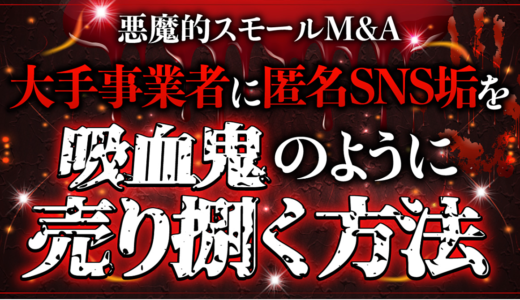 【悪魔的スモールM&A】大手事業者に匿名SNS垢を吸血鬼のように売り捌く方法
