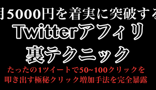 【48時間限定価格】ツイッターアフィリで月5000円突破する裏テクニック