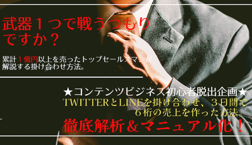 【完売御礼！増販決定！】TwitterとLINEで最速マネタイズ！初心者の方でも悩まず、迷わず実践できるように ビジネスの始め方マニュアルを公開！