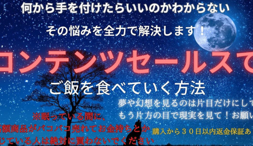 コンテンツセールスでご飯を食べていく方法