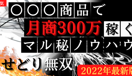 【初心者救済企画】情報弱者が月３００万円を達成するための下克上ノウハウ