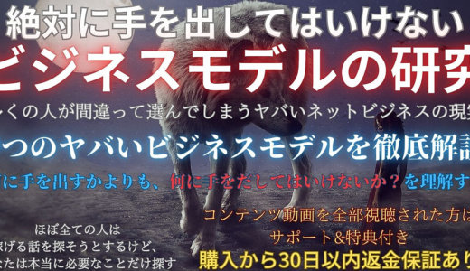 本物の利益を得るために絶対に手を出しちゃいけないビジネスモデルの研究