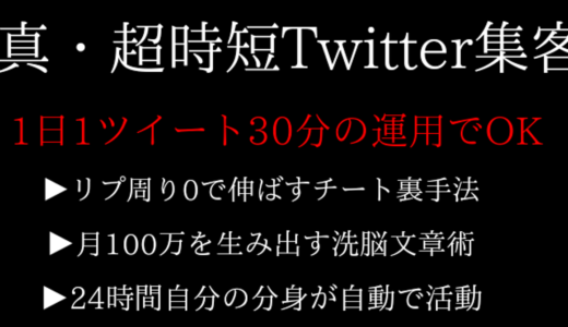 【Twitterの闇を暴露】真・超時短Twitter集客