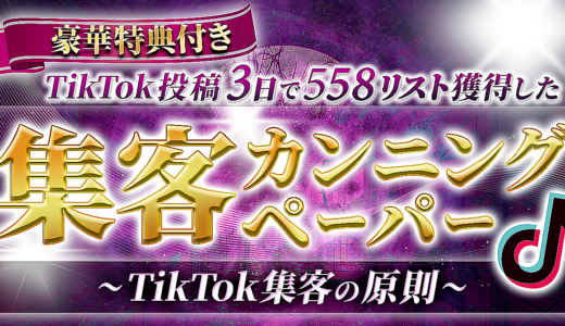 【TikTok経由で3日で558リスト獲得した】集客カンニングペーパー　〜TikTok集客の原則〜