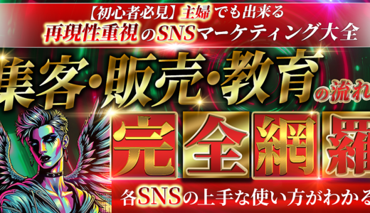 【初心者必見】主婦でも出来る  再現性重視のSNSマーケティング大全  集客・教育・販売の流れを完全網羅　各SNSの上手な使い方がわかる！