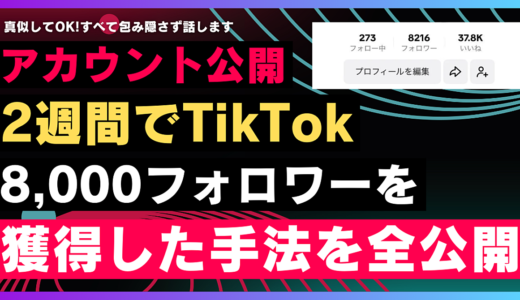 【アカウント公開】フォロワーを増やすための手法や考え方【2週間でTikTok8,000フォロワーを獲得した手法を全公開】