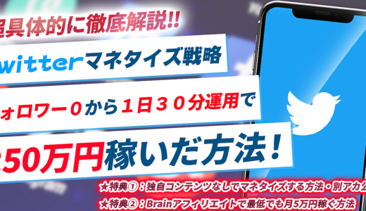 Twitterマネタイズ戦略｜フォロワー０から1日30分運用で250万円稼いだ方法を超具体的に徹底解説！