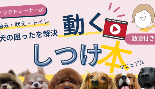 【飼い主に教えるプロのドッグトレーナー】仔犬から成犬までの動くしつけマニュアル