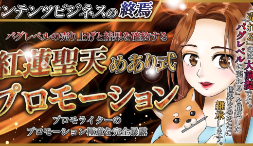 【２０２２年・０から４０００万円をBrainのみで売り上げた魔術】紅蓮聖天めあり式プロモーション〜人生を決める魔神セールス〜