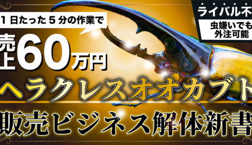 【たった3ヶ月で60万円】虫嫌いなアナタでも不労所得が手に入る。ヘラクレスオオカブト販売ビジネス解体新書
