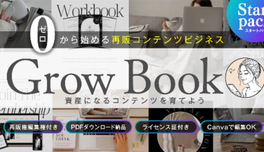 【初版限定・2日間だけの特別価格】再販コンテンツの教科書・主婦が月7桁稼ぐ新しいビジネス