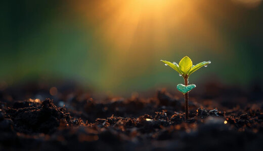 なぜ「急がない人」ほど、人生とお金が安定するのか　― 投資と思考の共通点